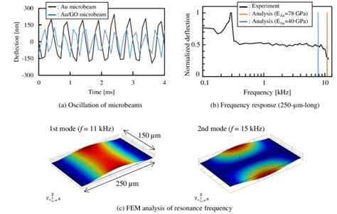 Dynamic Characteristics Of The Microbeams A Deflection Of An Au And