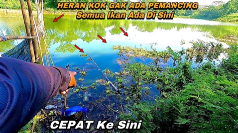 Spot Barumumpung Pemancing Sepi Kita Test Mancing Ikan Red Devil