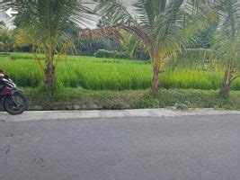 Tanah Sawah Pinggir Jalan Aspal 9 Are Di Lingsar GERBANG PROPERTY