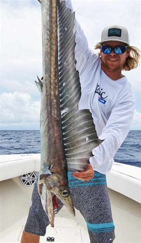 lancetfish openwaterpedia