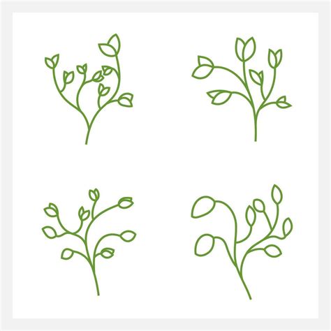 Hand Drawn Set Of Leaf Line Art 12681548 Vector Art At Vecteezy