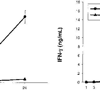 Cd Bright Nk Cells Are Present In Human Lymph Nodes A Cd And