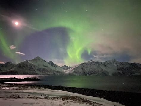 See the Northern Lights from a Glass Igloo in Norway - Travel A-Broads