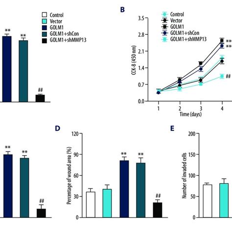 MMP13 Knock Down Reversed The Effects Of GOLM1 A MCF 7 Cells Were