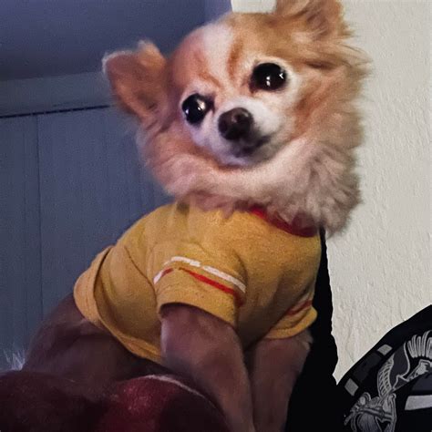 Visit Galena - Balloon spectacular!🔥 Don’t miss the Great Galena