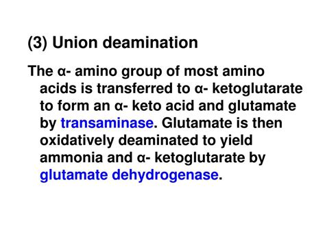 PPT - Chapter 7 Amino Acid Metabolism PowerPoint Presentation, free download - ID:459381