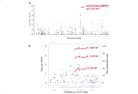 Association Results Of Discovery And Validation Cohort A Manhattan