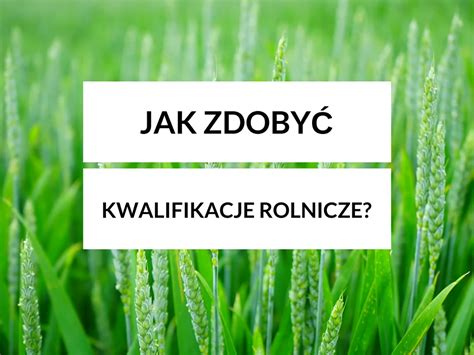 Jak zdobyć kwalifikacje rolnicze Agromania łączymy wieś i miasto