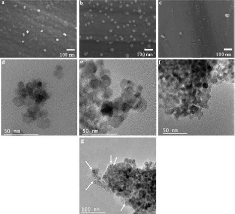 Sem Micrographs A Tio Nanoparticles B Silver Modified Tio