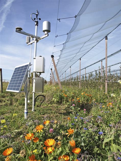 Äpfel unter Strom Agri PV in der Obstplantage agrarheute