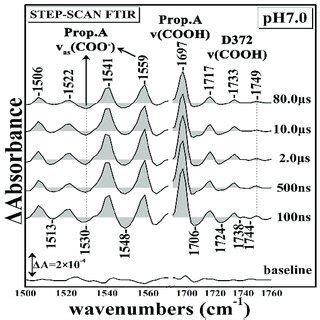 Time Resolved Step Scan Fourier Transform Infrared Trs Ftir