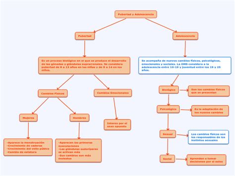 Pubertad Y Adolescencia Mapa Mental