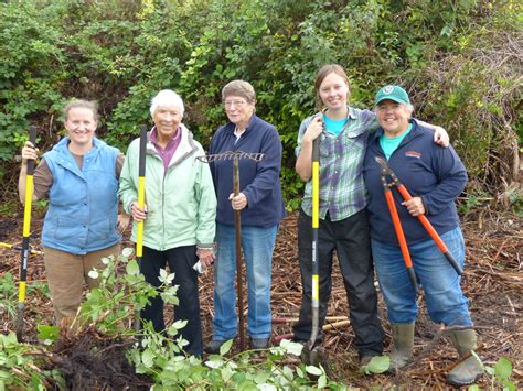 Trillium Community Forest Work Party | Camano Arts Association
