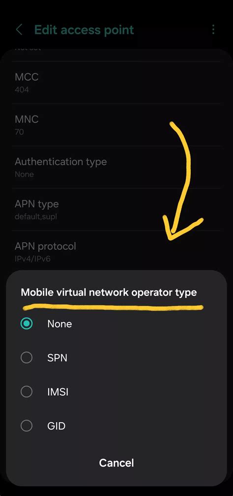 What Is MVNO Type In APN Settings Quick APN Settings