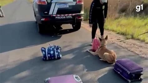 Passageira é presa transportando drogas em ônibus de viagem no interior