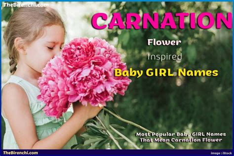 Unique Baby Girl Names Inspired By Carnation Flower