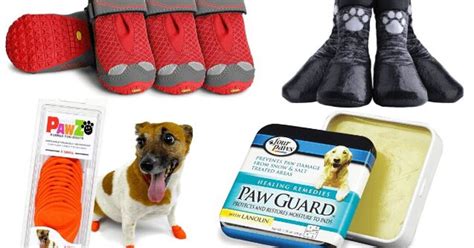 Best Dog Paw Protectors | PetGuide