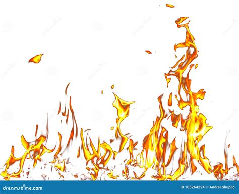 Fire Flames on a White Background Stock Photo - Image of broil, ignite ...