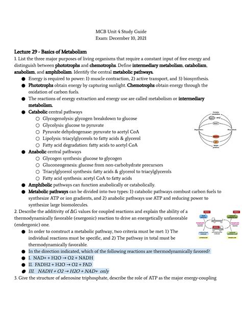 MCB Unit 4 Study Guide MCB Unit 4 Study Guide Exam December 10 2021