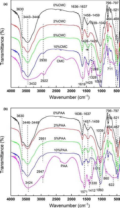 Ftir Spectra Of A Cmc Nab And B Paa Nab Download Scientific Diagram