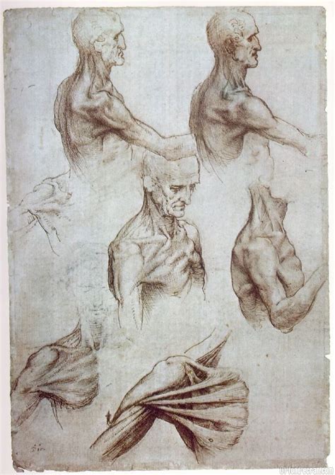 Léonard de Vinci Art Leonardo Da Vinci Leonard de vinci Dessin