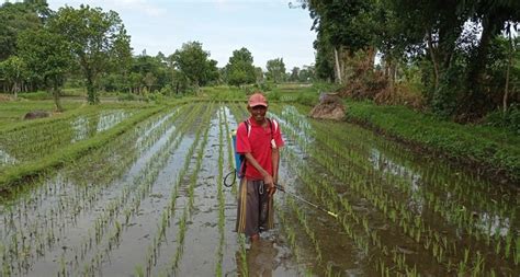 Kementan Dorong Pelaku Usaha Terjun Ke Bisnis Pertanian Organik Monitor