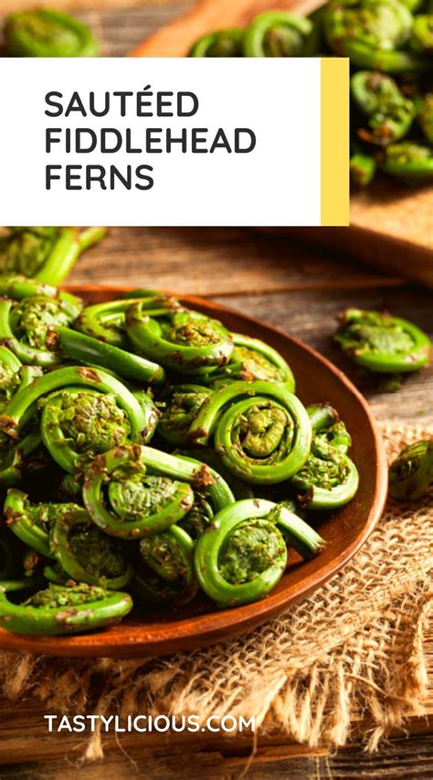 What Is A Fiddlehead Plus Sauteed Fiddleheads Recipe Artofit