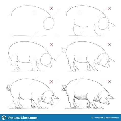 How To Draw Sketch Of Imaginary Domestic Pig Creation Step By Step