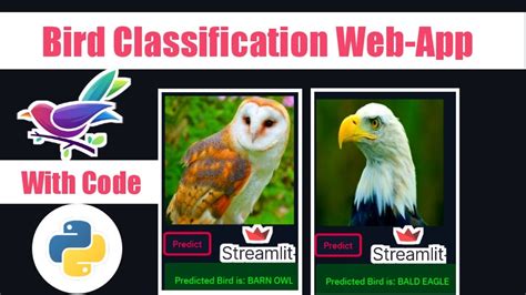 Bird Species Identification Using Deep Learning Streamlit With Code