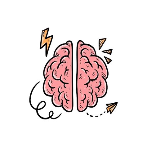 Cerebro Dibujado A Mano Ilustraci N Vectorial Vector Premium