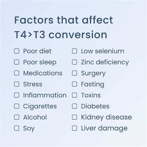 T3 Thyroid Medication: The Most Comprehensive Overview | Paloma Health