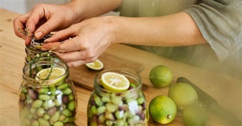 Olivier au jardin quand cueillir les olives et comment les préparer