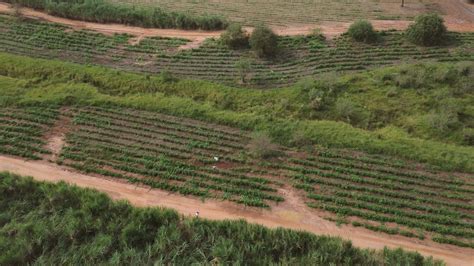 10 Estratégias Inteligentes Para Geração De Renda No Meio Rural