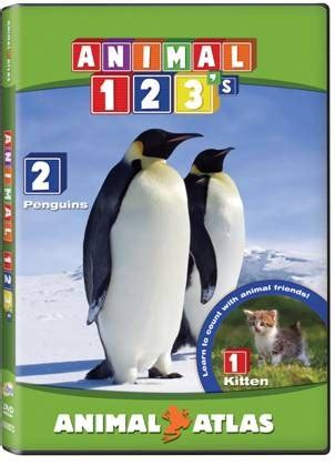 Animal ABCs and Animal 123s on DVD | Grinning Cheek To cheek