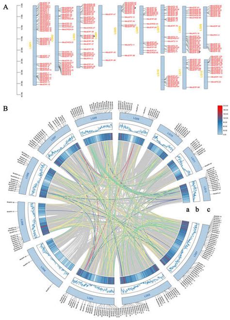 Ijms Free Full Text Bioinformatic Assessment And Expression