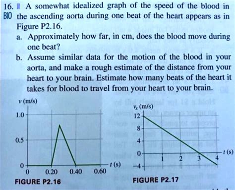 SOLVED A Somewhat Idealized Graph Of The Speed Of The Blood In The