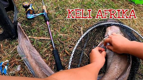 Keli Afrika Larian Padu Pertandingan Memancing YouTube