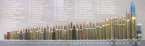 Different Types Of Rifle Caliber Sizes At Otto Kelch Blog