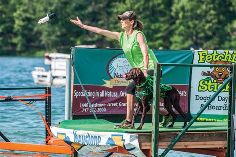 Dock Jumping: A Friendly Competition - Gun Dog Magazine