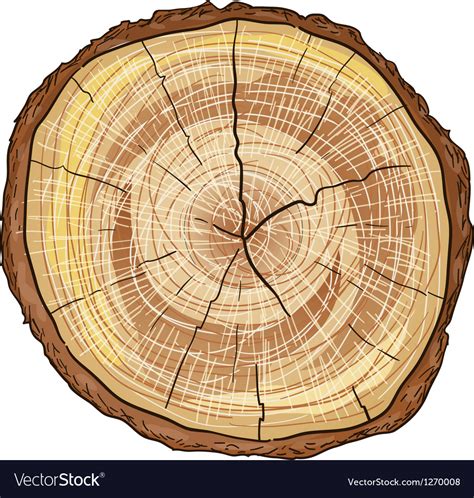 Wood Log Royalty Free Vector Image Vectorstock