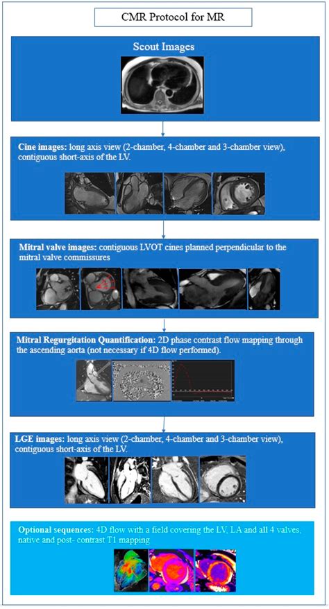 Jcdd Free Full Text The Role Of Cardiovascular Magnetic Resonance