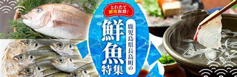 【楽天市場】特集 鹿児島県長島町の鮮魚特集：鹿児島県長島町