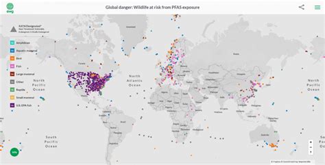 Pfas A Global Contamination Crisis Pfas