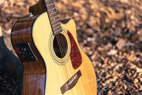 Acoustic Guitar in the Forest among Dry Autumn Leaves. Stock Photo ...