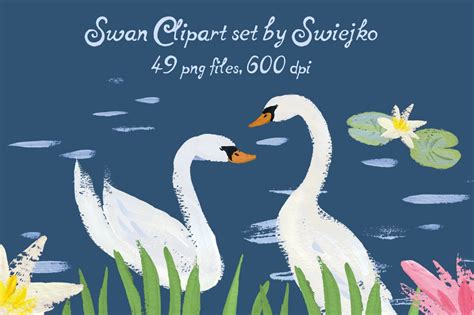 Swan Lake Clipart | Texture Illustrations ~ Creative Market