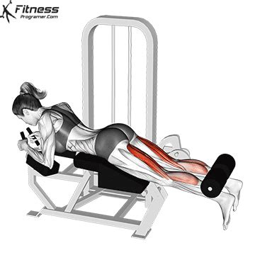 legprogram workout routine created  samet cosacak