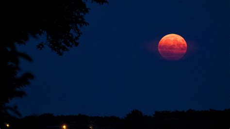 Les Images Magnifiques De La Super Lune Bleue Observ E En France