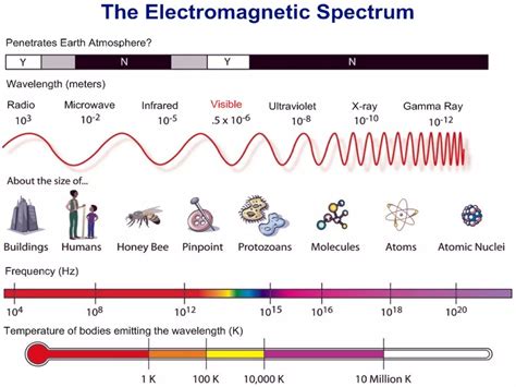 The Electromagnetic Spectrum | PPT