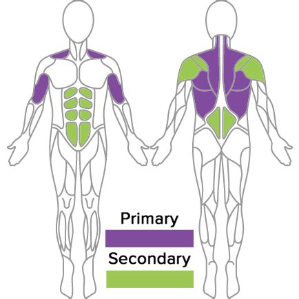 Precor Overhand Row - Green Physique