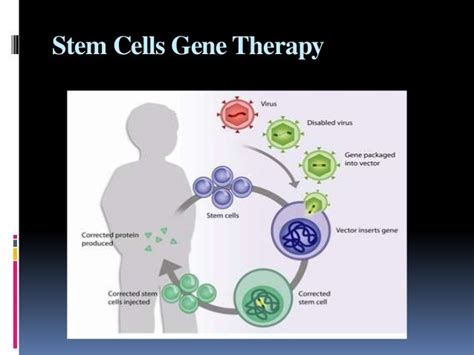 stem cell gene therapy